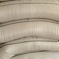 گندم مهرگان بذری درجه یک|خدمات باغبانی و درختکاری|حمیدیه, |دیوار