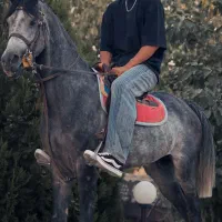 نریون یه سر