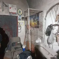 قفس جفت گاه برای کبوتر