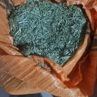 یونجه خرد شده