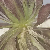 راهنمایی برای زندگی پس از طلاق
