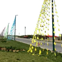 پرچم ریسه|ریسه و چراغ تزئینی|تهران, مشیریه|دیوار