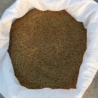 تخم شنبلیله