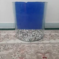 آکواریوم خم پمپ هوا ۲۰ عدد ماهی ماکرو زرد|ماهی|گلستان (تهران), |دیوار