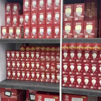 لامپ پرژکتور چراغ سوله ای محافظ و سه راهی