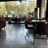 سالندار برای کافه