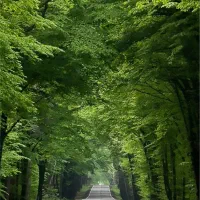 تجاری-مغازه-انبار