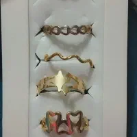 اکسسوری نو|بدلیجات|تربتحیدریه, بهزیستی|دیوار