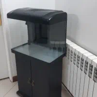 آکواریوم دلسا اصلی شیشه خم مدل K580 با تمام وسایل