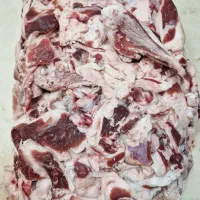 شلحه و پیشناف