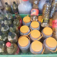 خیار شود سوپر ویژه درجه یک بهترین خیار شورخونگی|خوردنی و آشامیدنی|مشهد, نظام دوست|دیوار