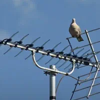 نصاب آنتن تنظیم راهاندازی TV نصب به دیوار دیجیتال|خدمات پیشه و مهارت|بندرعباس, |دیوار