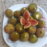 انجیرتازه