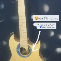 گیتار حرفه ای بابک امینی
