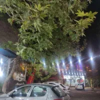 نیازمند  تعدادی نیرو آقا جهت کار در رستوران آبعلی