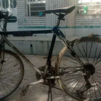 دوچرخه کورسی و کوهستانی