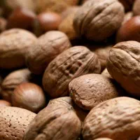 خرید بادام و گردو کشمش مویز وانواع خشکبارتسویه آنی