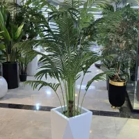 درختچه مصنوعی نخل کنتیا اریکا فینیکس شامادورا لمسی