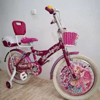 دوچرخه