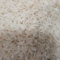 برنج سرلاشه صدری دمسیاه،طارم گرگان ،هاشمی گیلان|خوردنی و آشامیدنی|کرج, محمود آباد|دیوار