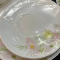 سرویس آرکوپال فرانسوی ۲۶ پارچ|ظروف سرو و پذیرایی|شیراز, درکی|دیوار