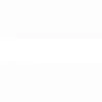 سرمایه گذار