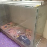 آکواریوم