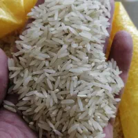 برنج سالم عطری گرگان. خالص خالص ایرانی