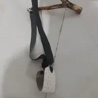 پلخ مون