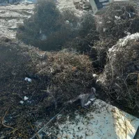 خرید وفروش ضایعات آهن آلومینیوم چدن|عمدهفروشی|مشهد, کوی سیدی|دیوار