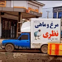 ران مرغ بی کمر|عمدهفروشی|پلدختر, |دیوار