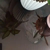 میز جلو مبلی|مبلمان خانگی و میز عسلی|گلبهار, شهر جدید گلبهار|دیوار