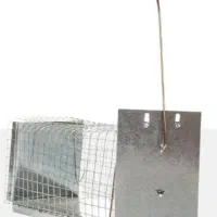 تله موش و گربه و..