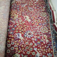 قالی 12متری|فرش|میان ولایت, |دیوار