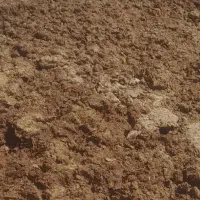 کود حیوانی|لوازم جانبی حیوانات|خاوه, |دیوار