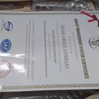 قاشق وچنگال نو|ظروف سرو و پذیرایی|زنجان, |دیوار