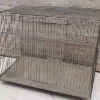 قفس پرنده 300تمیز