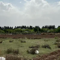 زمین سند دار باغ باغچه سهیلیه زعفرانیه|فروش زمین و ملک کلنگی|کرج, گلشهر|دیوار