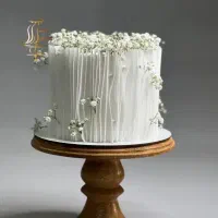 آموزش مجازی کیک تولد