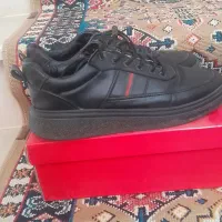 کفش کلاسیک|کیف، کفش، کمربند|پارس‌آباد, |دیوار