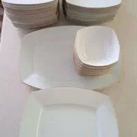 ظروف چینی تقدیس و نفیس|ظروف سرو و پذیرایی|گناباد, |دیوار