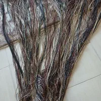 پرده ریسه نو