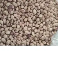 لوبیا چیتی درجه یک