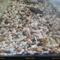 سنگ کف اکواریوم