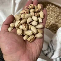 فروش پسته رفسنجان به صورت خرده و عمده