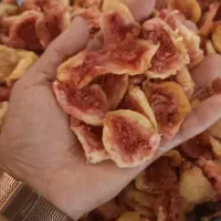 الوبخارا آلوبخارا|عمدهفروشی|زابل, |دیوار