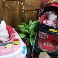 کالسکه و روروک