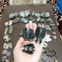 سنگ معدنی و طبیعی|کلکسیون اشیاء عتیقه|شیراز, لاله|دیوار