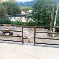 خدمات جوشکاری سیار|خدمات پیشه و مهارت|قزوین, |دیوار