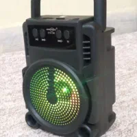 اسپیکر خانگی|سیستم صوتی خانگی|پیشوا, |دیوار